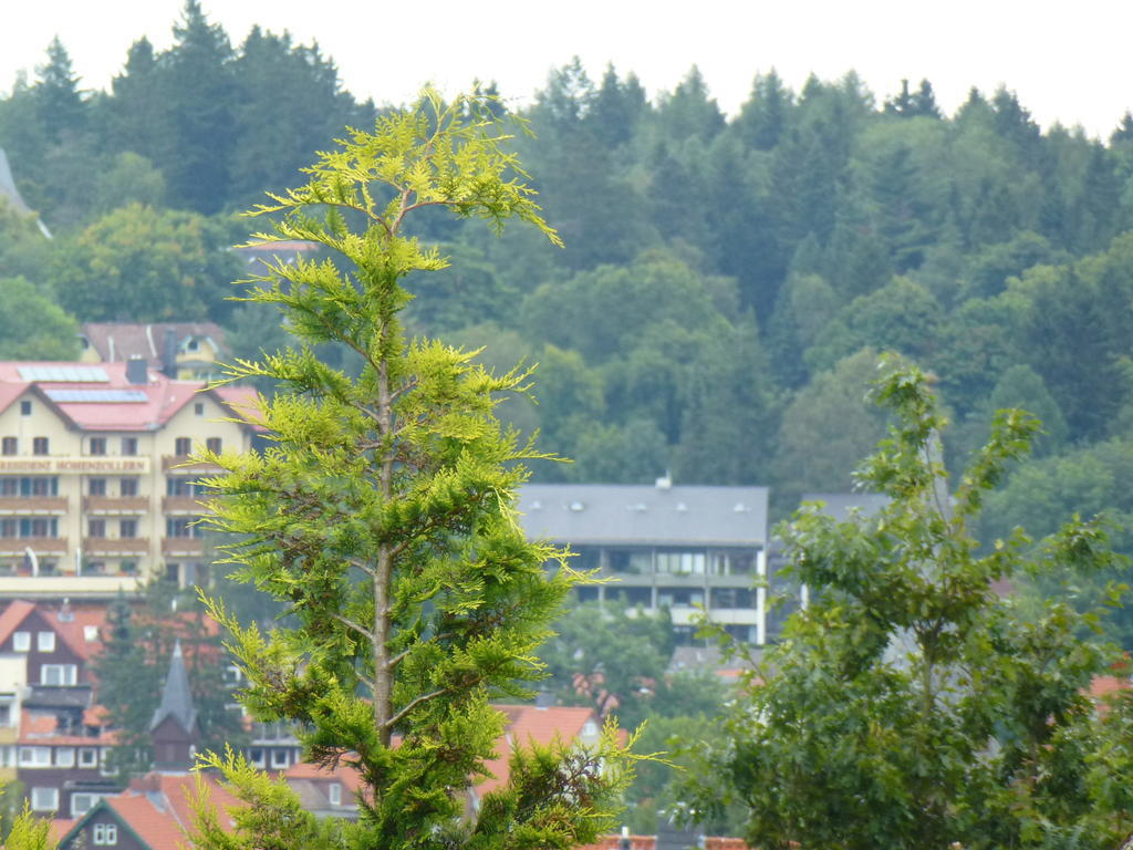 Harzhaus Willkommen Braunlage Kültér fotó